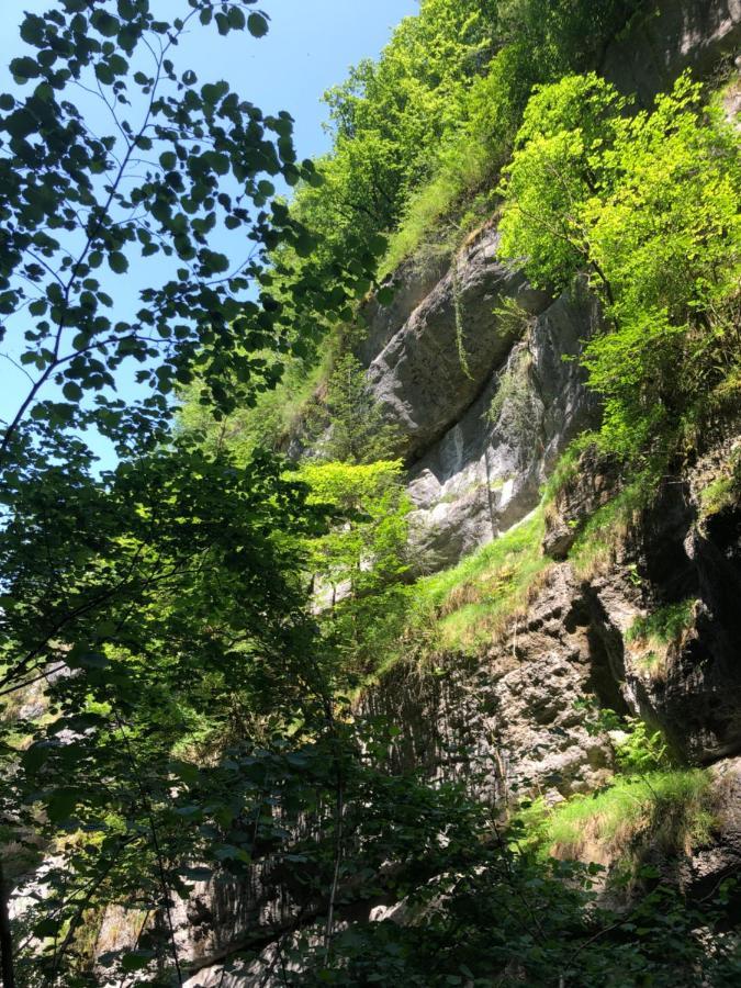 Au Pied Du Vercors Tout Est Permis La Riviere  Exterior foto