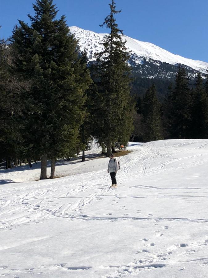 Au Pied Du Vercors Tout Est Permis La Riviere  Exterior foto